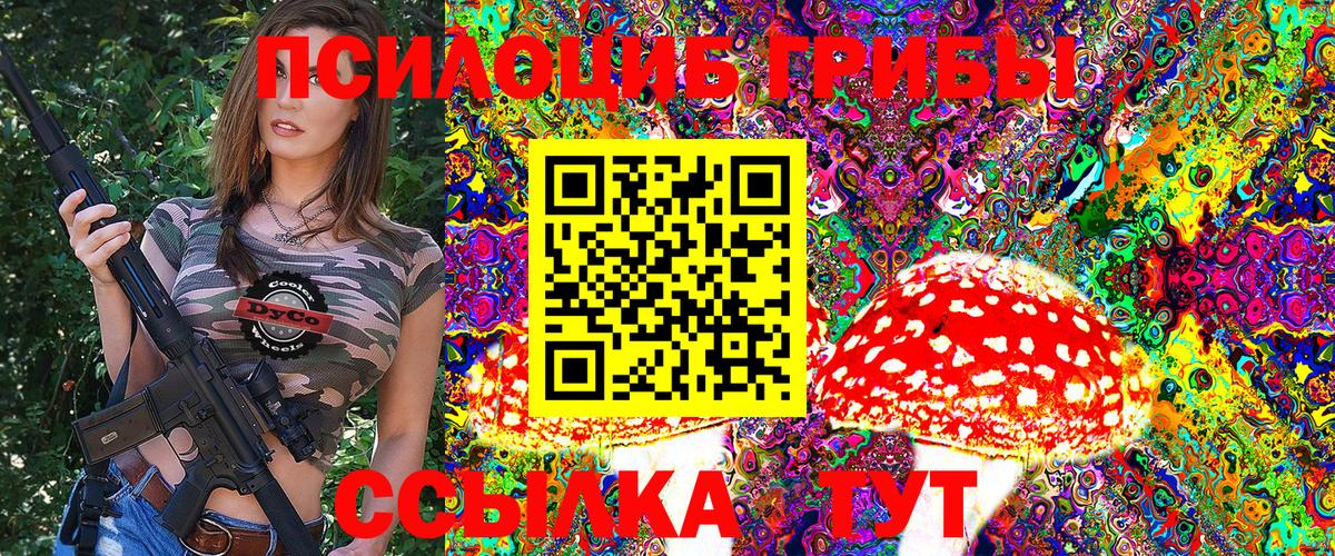 Галлюциногенные грибы Cubensis Калач-на-Дону