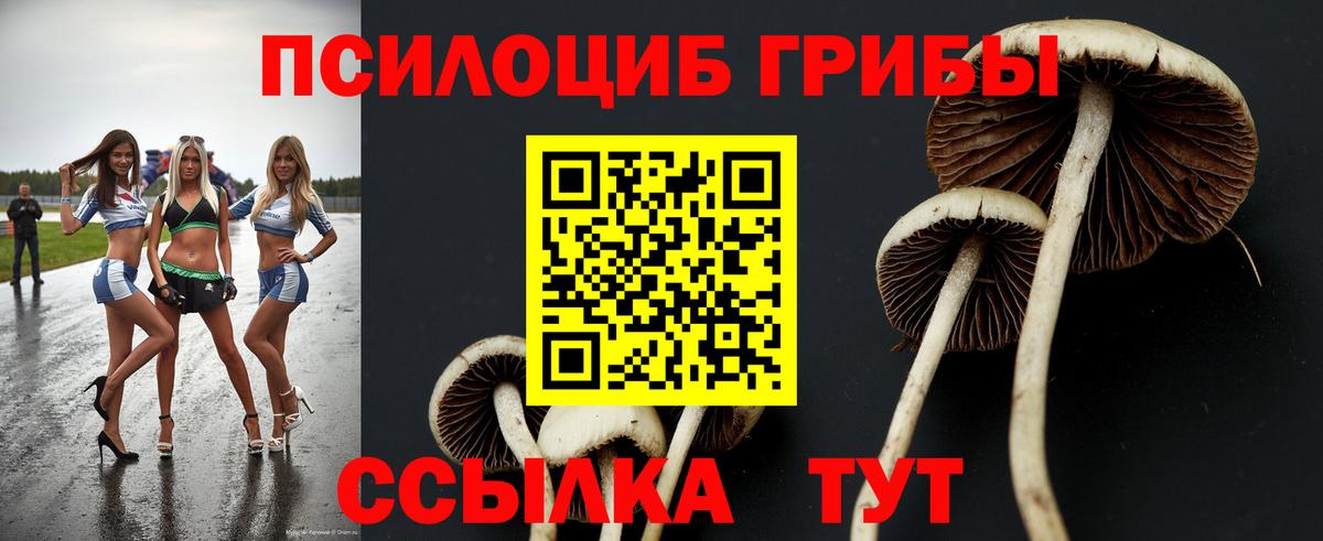 цены наркотик  Вход с VPN  Калач-на-Дону  Галлюциногенные грибы Cubensis 
